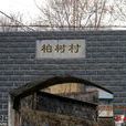 柏樹村(湖南衡山縣店門鎮下轄村) 柏樹村(湖南衡山縣店門鎮下轄村)