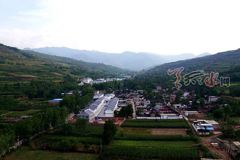 甘午村 甘午村