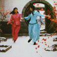 婉君(1990年俞小凡、金銘主演瓊瑤劇) 婉君(1990年俞小凡、金銘主演瓊瑤劇)