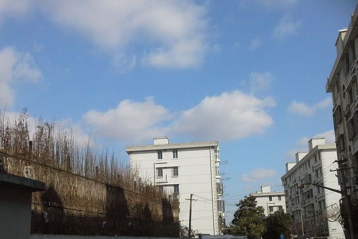 楊鎮新村 楊鎮新村