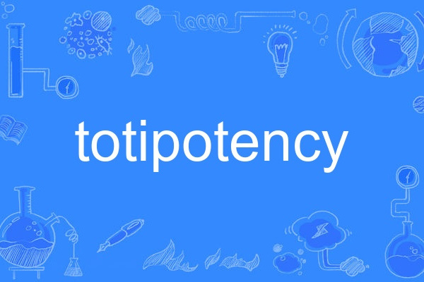 totipotency totipotency