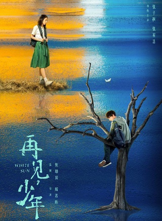 張子楓 張子楓