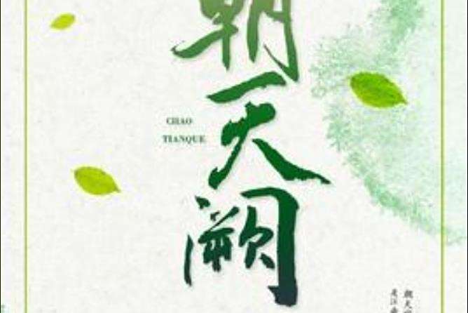 朝天闕(姞文創作的歷史小說) 朝天闕(姞文創作的歷史小說)