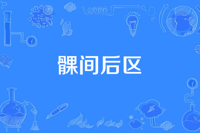 髁間後區 髁間後區