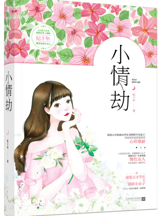 小情劫(紀十年所著的小說) 小情劫(紀十年所著的小說)