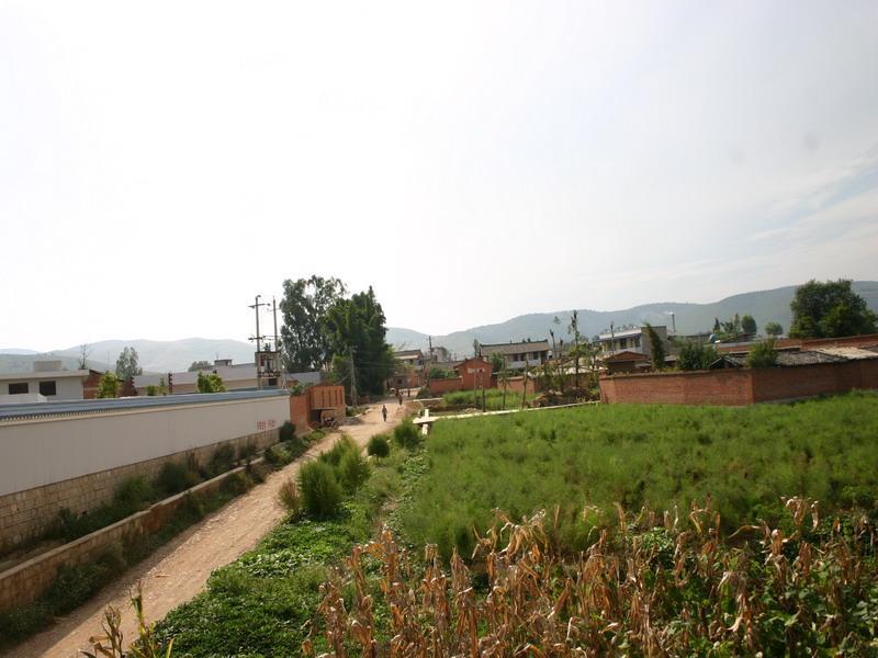 沈白村 沈白村