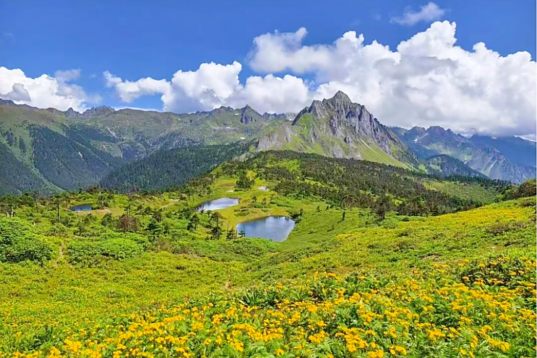 孔雀山埡口 孔雀山埡口