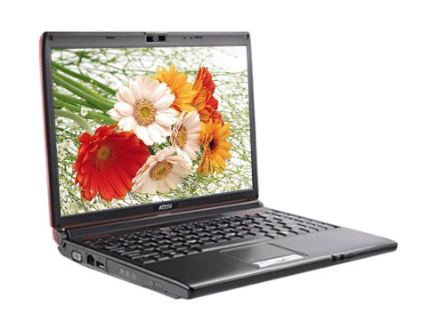 微星 EX310-ORQL601G16SX