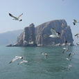 萬鳥島 萬鳥島