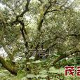 北畔村(廣東省信宜市鎮隆鎮下轄村) 北畔村(廣東省信宜市鎮隆鎮下轄村)