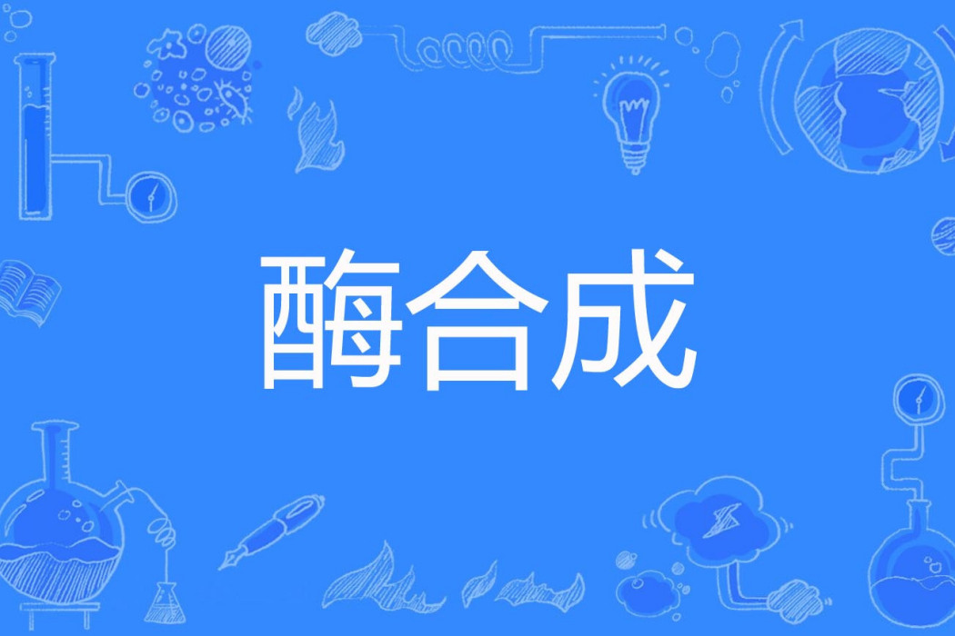 酶合成 酶合成