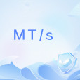 MT/s MT/s