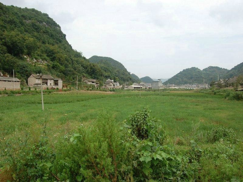 樂岩村 樂岩村