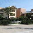 張萬村(浙江省台州市臨海市杜橋鎮下轄村) 張萬村(浙江省台州市臨海市杜橋鎮下轄村)