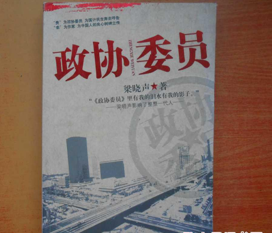 政協委員(2008年河南文藝出版社出版書籍)