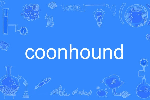 coonhound coonhound