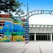 實驗幼稚園 實驗幼稚園