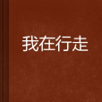 我在行走 我在行走