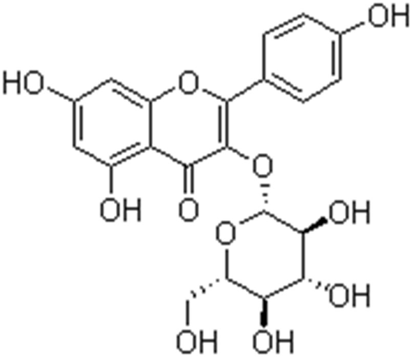 紫雲英苷 紫雲英苷
