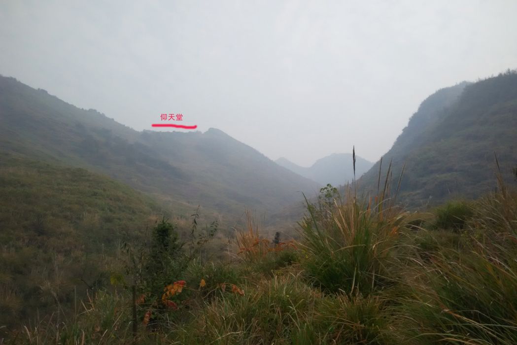 仰天堂(仙台) 仰天堂(仙台)