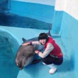 逗海豚溺亡 逗海豚溺亡