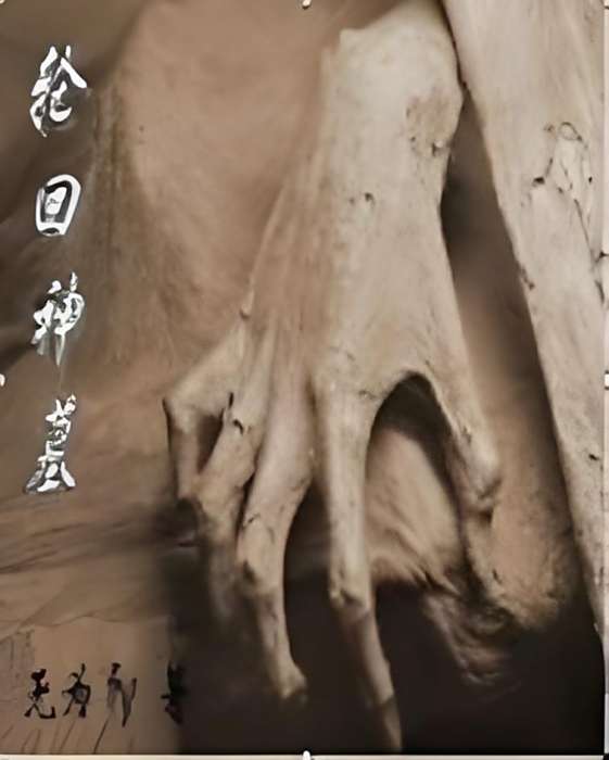 輪迴神墓 輪迴神墓