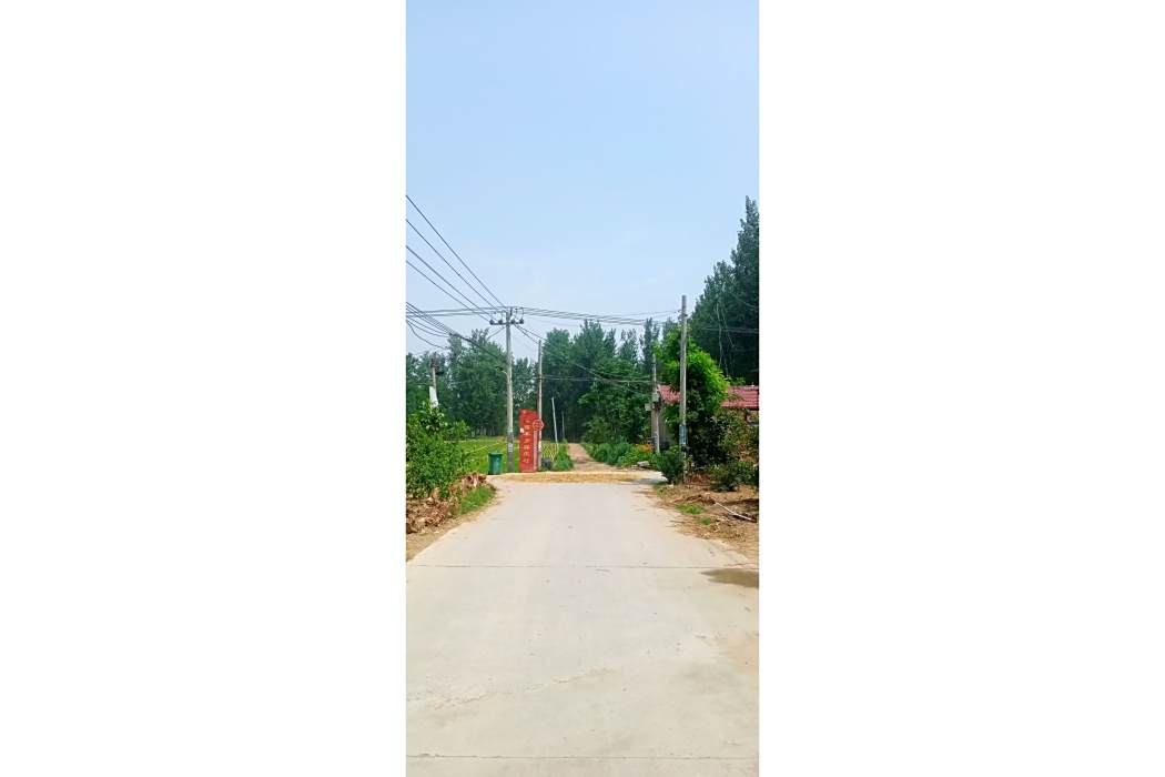 薛莊村(河南省杞縣西寨鄉下轄村) 薛莊村(河南省杞縣西寨鄉下轄村)