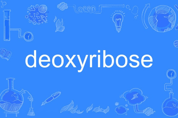 deoxyribose deoxyribose