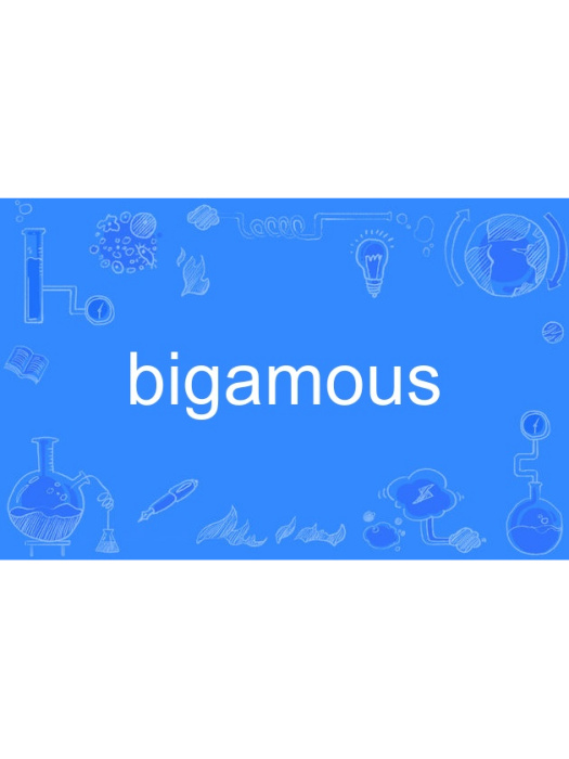 bigamous bigamous