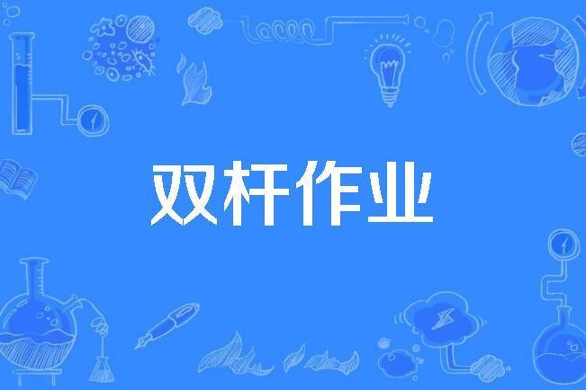 雙桿作業