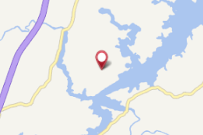 井洋林村 井洋林村