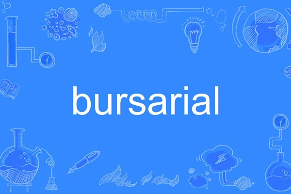 bursarial bursarial