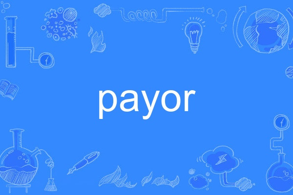 payor payor