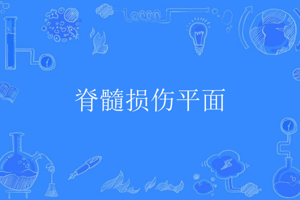 脊髓損傷平面 脊髓損傷平面