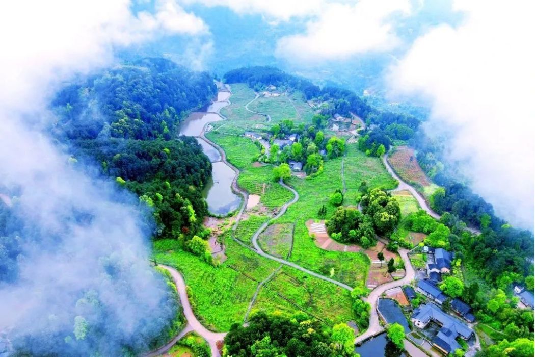 魚池村(重慶市巴南區東溫泉鎮魚池村) 魚池村(重慶市巴南區東溫泉鎮魚池村)