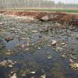 臭水溝(水渠系統) 臭水溝(水渠系統)