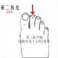 第二厲兌穴 第二厲兌穴