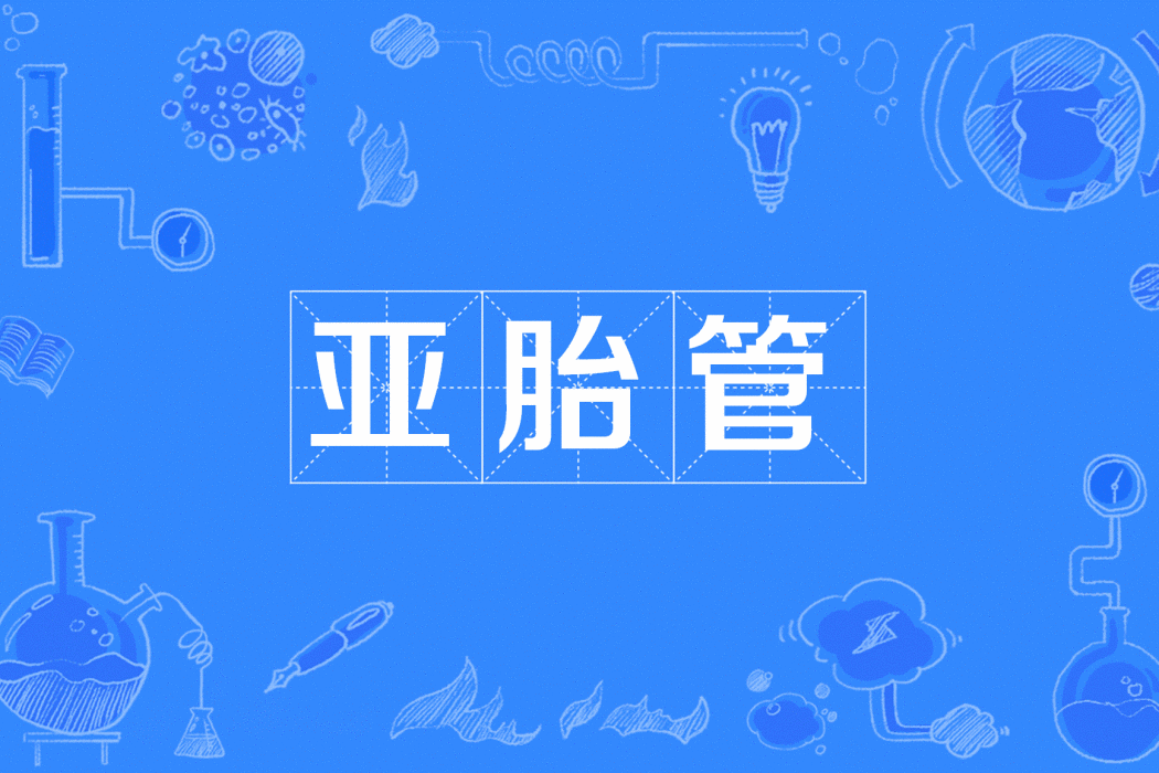 亞胎管 亞胎管