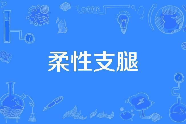 柔性支腿 柔性支腿