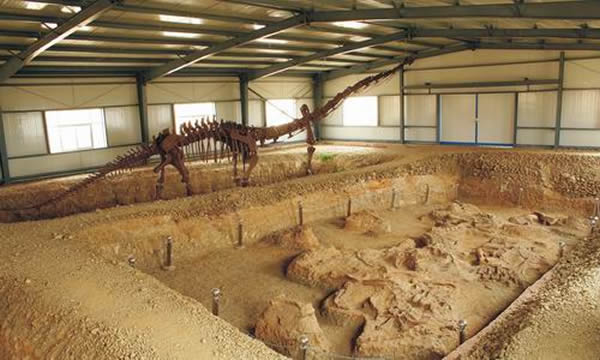 靈武恐龍化石遺址
