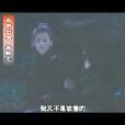 雌雄雙俠 雌雄雙俠