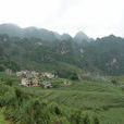 老陽坡村 老陽坡村