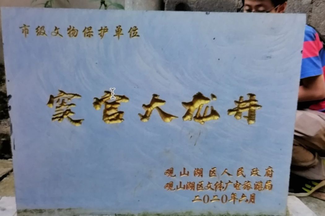 竇官大龍井 竇官大龍井