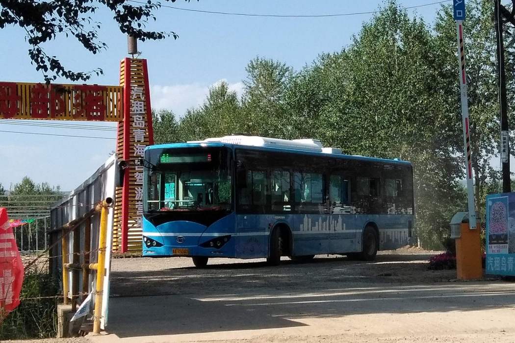 西寧公交41路 西寧公交41路