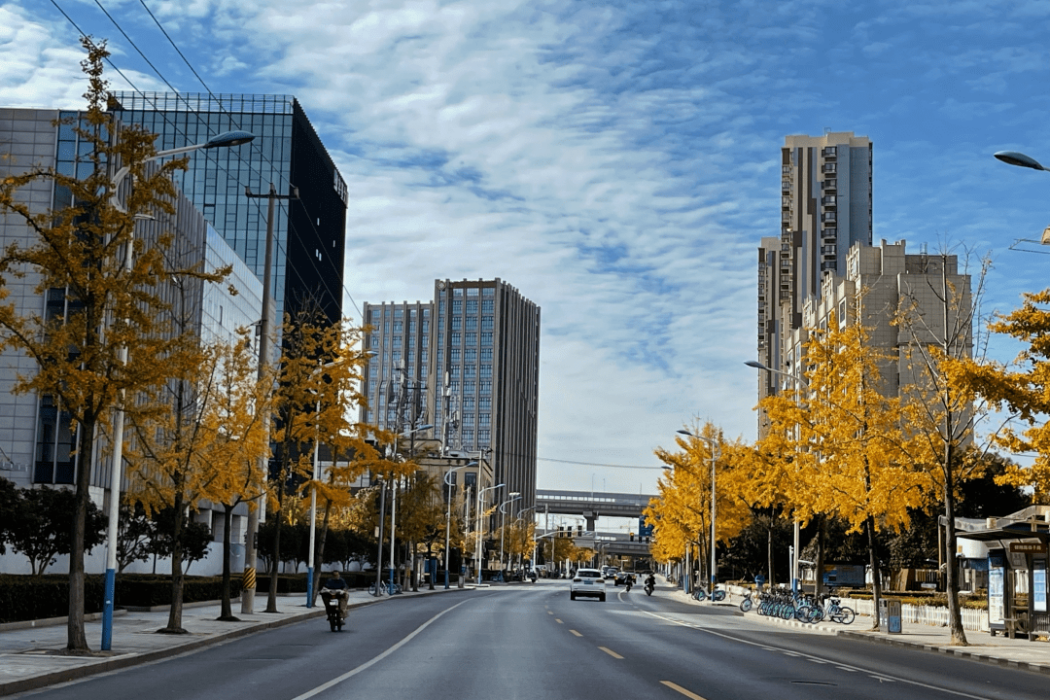 槎溪南路 槎溪南路