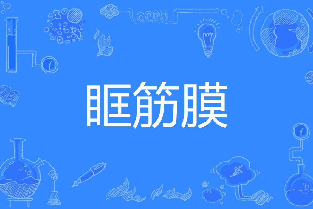 眶筋膜 眶筋膜