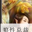 狼性總裁 狼性總裁