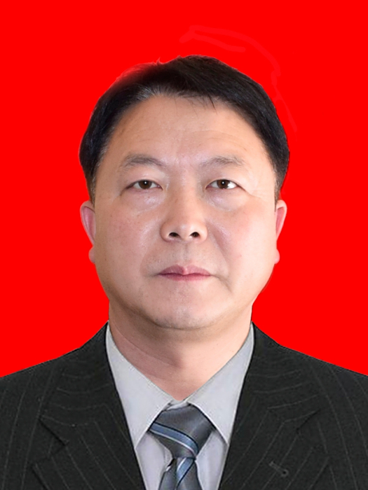 王敏(四川省巴中市平昌縣元山鎮黨委副書記、鎮長)