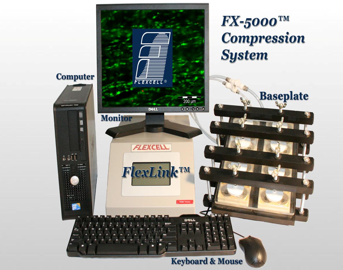 FX-5000C細胞壓力載入系統模型