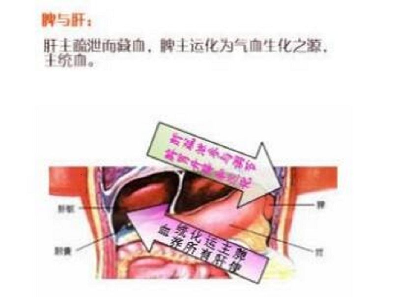肝/脾CT值 肝/脾CT值